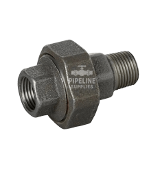 British Standard Male Female Union Black