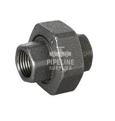 British Standard Female Union Black