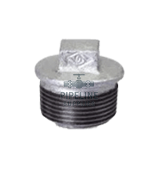 British / DIN Standard Plug Galvanised